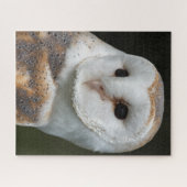 Barn Owl Portrait Legpuzzel (Horizontaal)