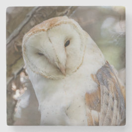 Barn Owl Portrait Stone Onderzetter
