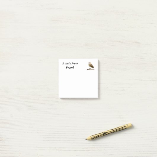 Barn Owl Post-it® Notes (Op bureau)