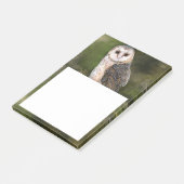 Barn Owl Post-it® notes (Schuin)