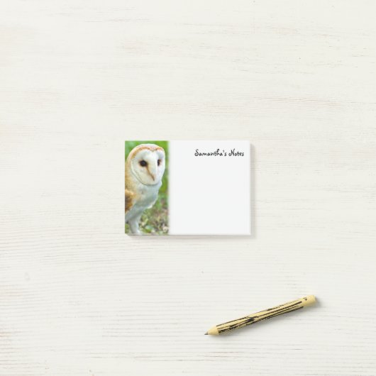 Barn Owl Post-It Notes (Op bureau)