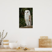 Barn Owl Poster (Keuken)
