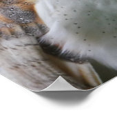 Barn Owl Poster (Hoek)