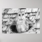 Barn Owl Poster (Voorkant)