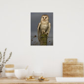 Barn Owl Poster (Keuken)