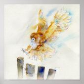 Barn Owl Poster (Voorkant)