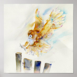Barn Owl Poster