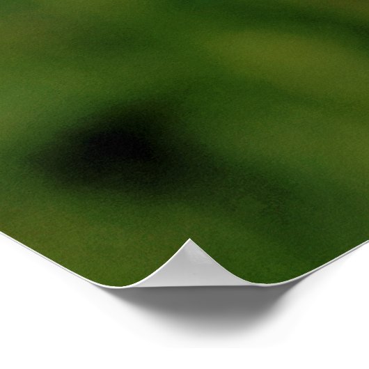 BARN OWL POSTER (Hoek)