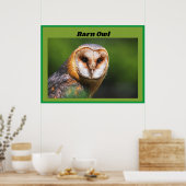 Barn Owl Poster (Keuken)
