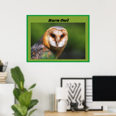Barn Owl Poster (Thuiskantoor)
