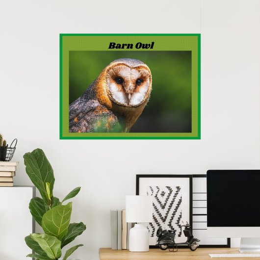 Barn Owl Poster (Thuiskantoor)