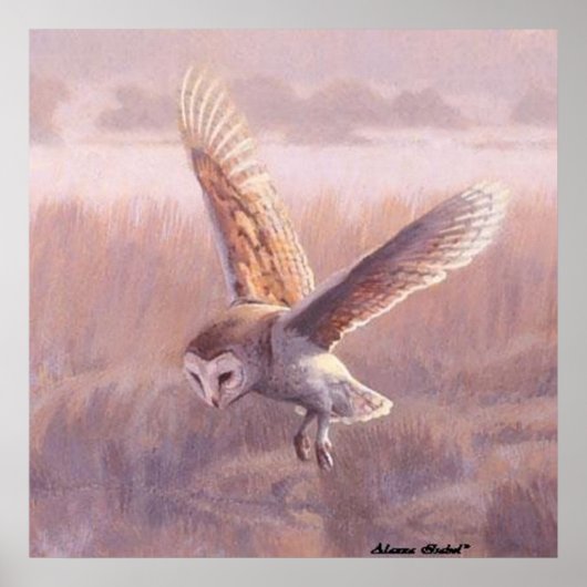 Barn Owl Poster (Voorkant)