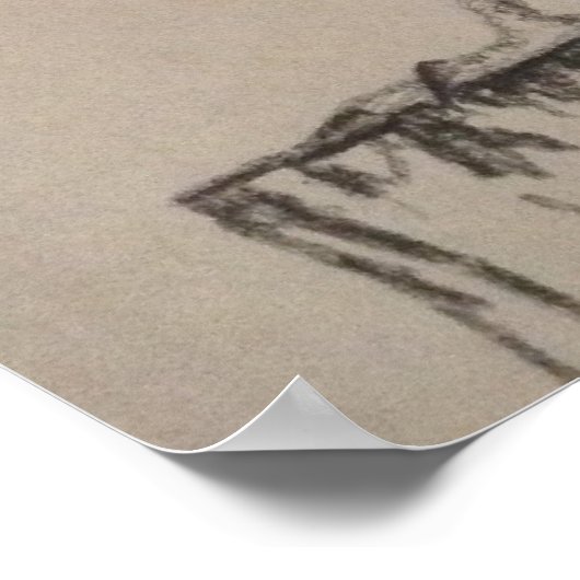 Barn Owl Poster (Hoek)