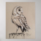 Barn Owl Poster (Voorkant)