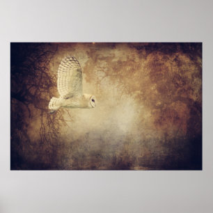 Barn Owl Poster of ontkoppeling