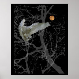 Barn Owl Poster, Texas Screech Owl, Wiccan Symbol Poster