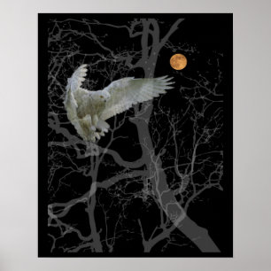 Barn Owl Poster, Texas Screech Owl, Wiccan Symbol Poster