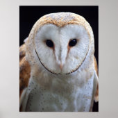 Barn Owl Print (Voorkant)
