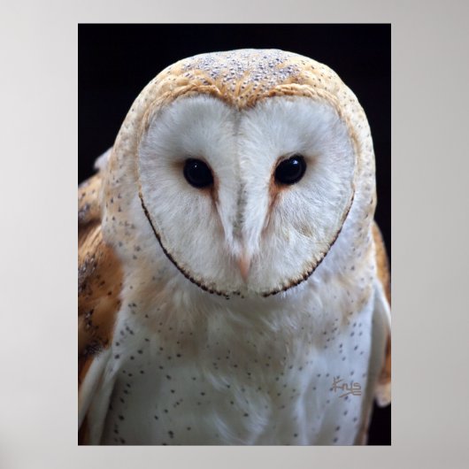 Barn Owl Print (Voorkant)