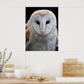 Barn Owl Print (Keuken)