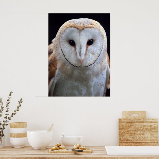 Barn Owl Print (Keuken)
