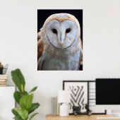 Barn Owl Print (Thuiskantoor)
