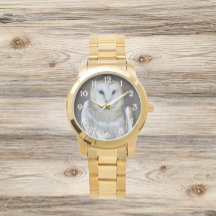 Barn Owl Raptor Foto