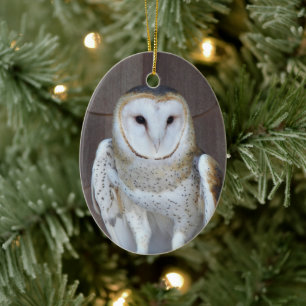 Barn Owl Raptor Foto Keramisch Ornament