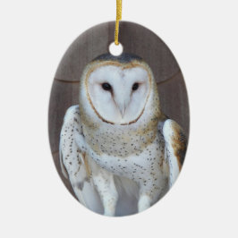 Barn Owl Raptor Foto Keramisch Ornament