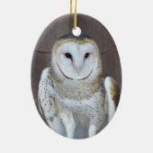 Barn Owl Raptor Foto Keramisch Ornament (Achterkant)