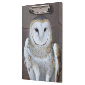 Barn Owl Raptor Foto Klembord (Links)