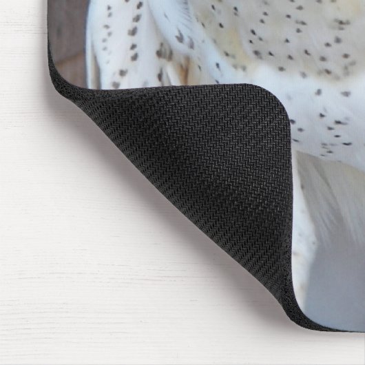 Barn Owl Raptor Foto Muismat (Hoek)