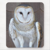 Barn Owl Raptor Foto Muismat (Voorkant)