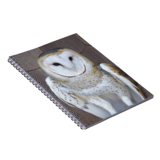 Barn Owl Raptor Foto Notitieboek (Rechterzijde)