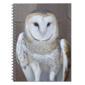 Barn Owl Raptor Foto Notitieboek (Voorkant)