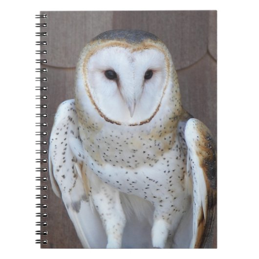 Barn Owl Raptor Foto Notitieboek (Voorkant)