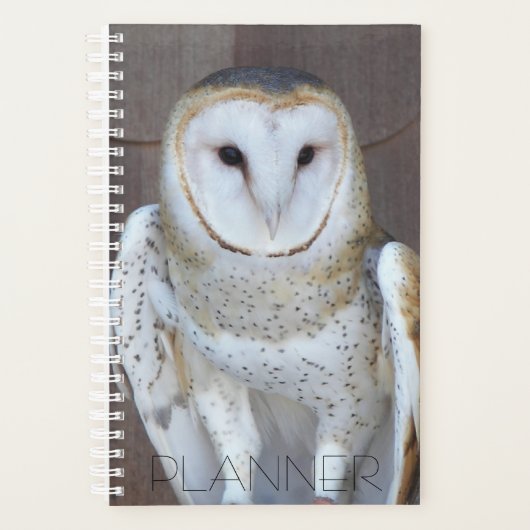 Barn Owl Raptor Foto Planner (Voorkant)