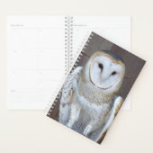 Barn Owl Raptor Foto Planner (Display)