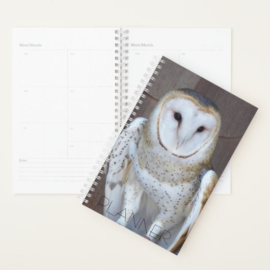 Barn Owl Raptor Foto Planner (Display)
