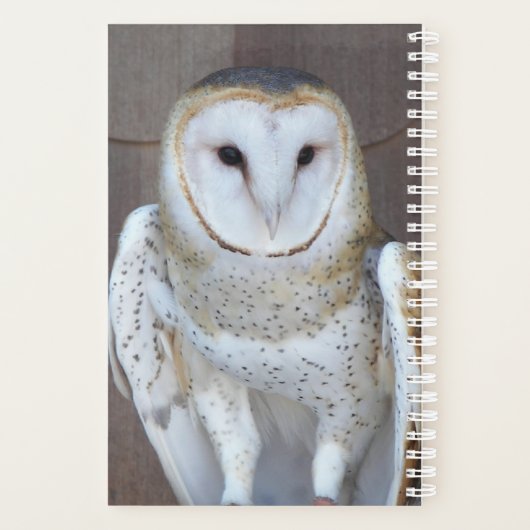 Barn Owl Raptor Foto Planner (Achterkant)