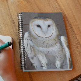 Barn Owl Raptor Foto Planner