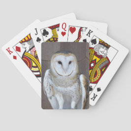 Barn Owl Raptor Foto Speelkaarten