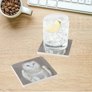 Barn Owl Raptor Foto Stenen Onderzetter