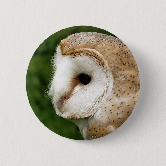 BARN OWL RONDE BUTTON 5,7 CM (Voorkant)