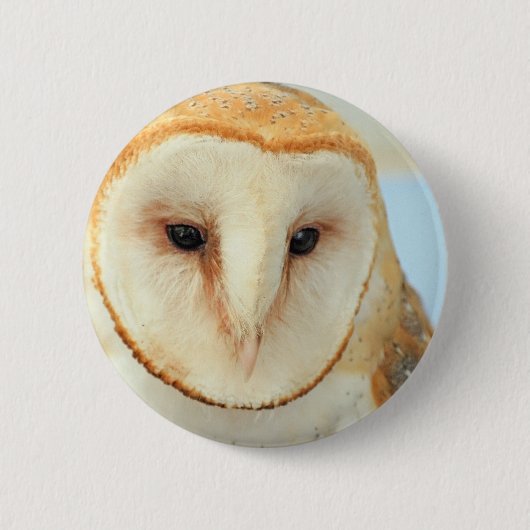 Barn owl ronde button 5,7 cm (Voorkant)