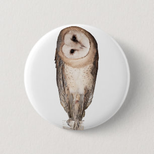 Barn owl ronde button 5,7 cm