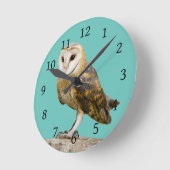 Barn Owl Ronde Klok (Hoek)