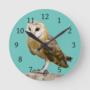 Barn Owl Ronde Klok