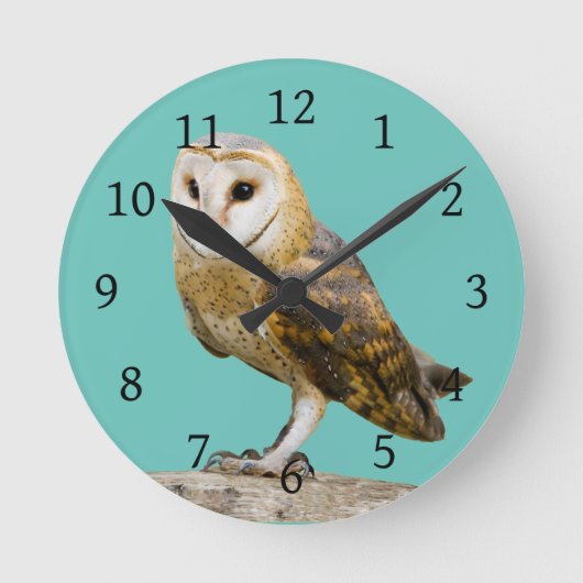 Barn Owl Ronde Klok (Voorkant)