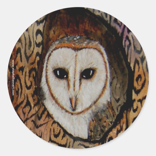 Barn Owl Ronde Sticker (Voorkant)